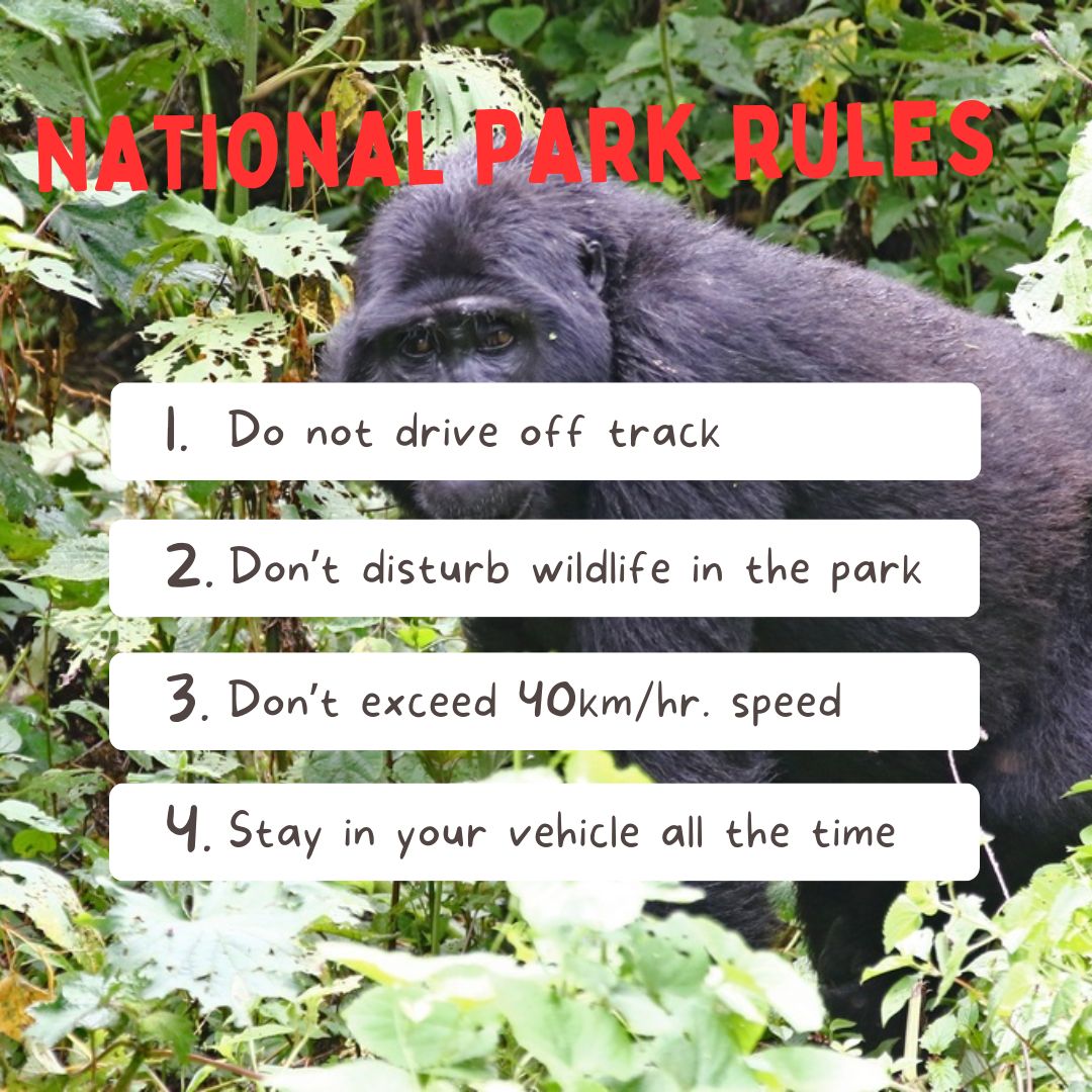 National park rules and regulations in Uganda