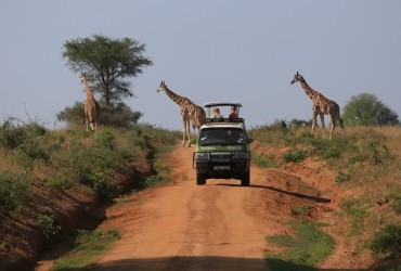 14 Days explore Uganda, Kenya & Tanzania safari