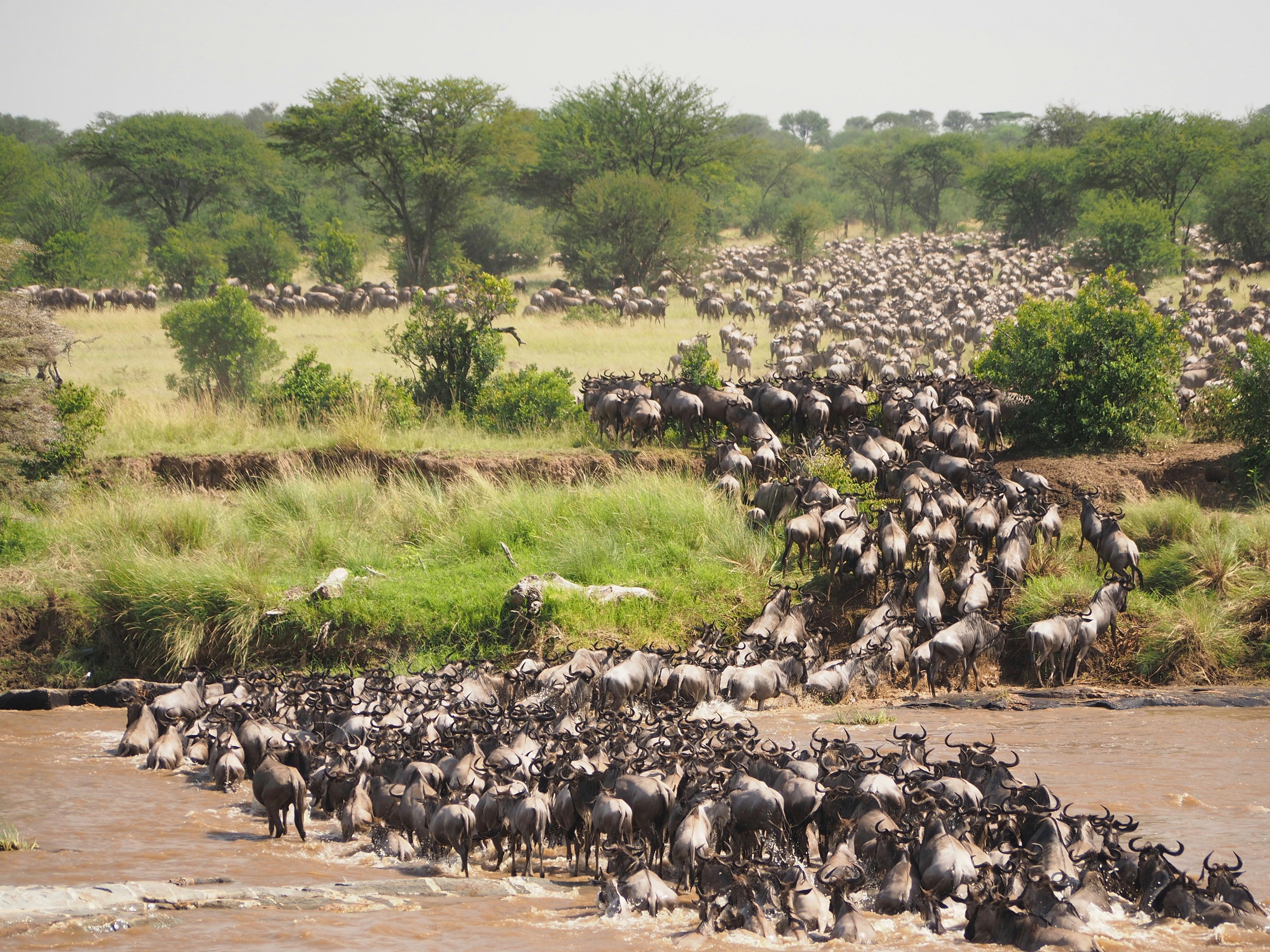An Exclusive Kenya Safari